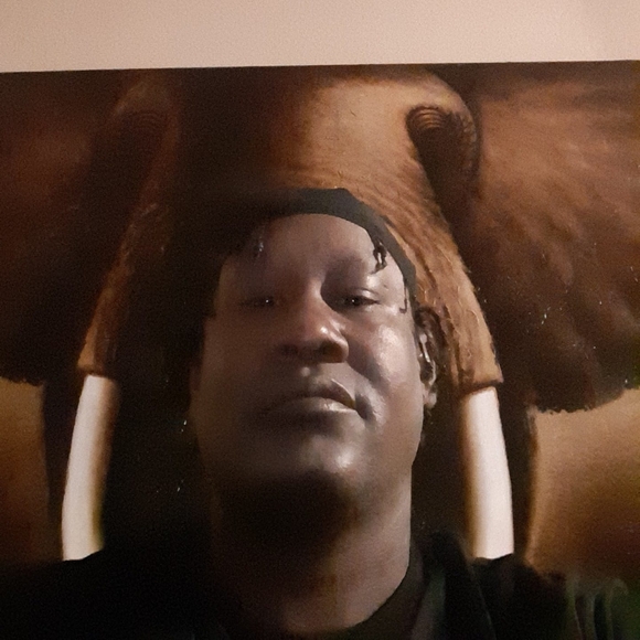 Meet your Posher, Marcus - Picture 1 of 1